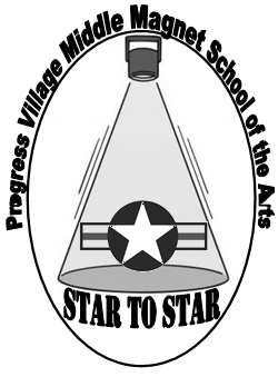 Star to Star Ambassadors logo